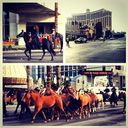 horsebackriding-instagram-01.jpg